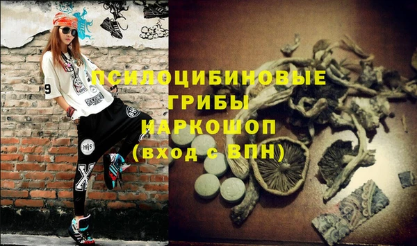тгк Арсеньев