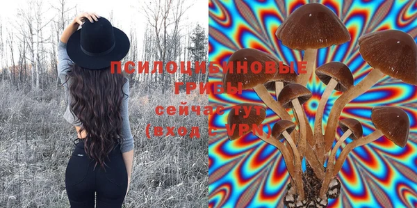 прущая мука Армянск