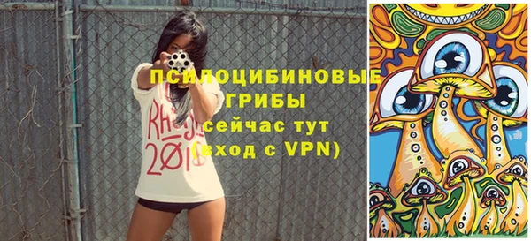 прущая мука Армянск
